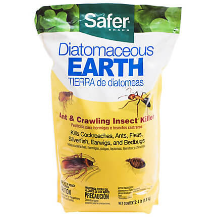 Holiday Wrap-up Diatomaceous Earth
