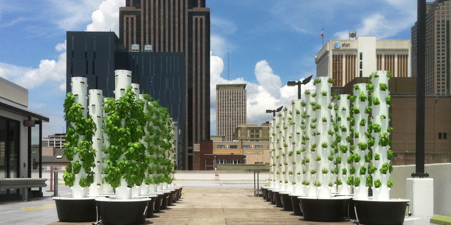 tomatoes-tower-garden
