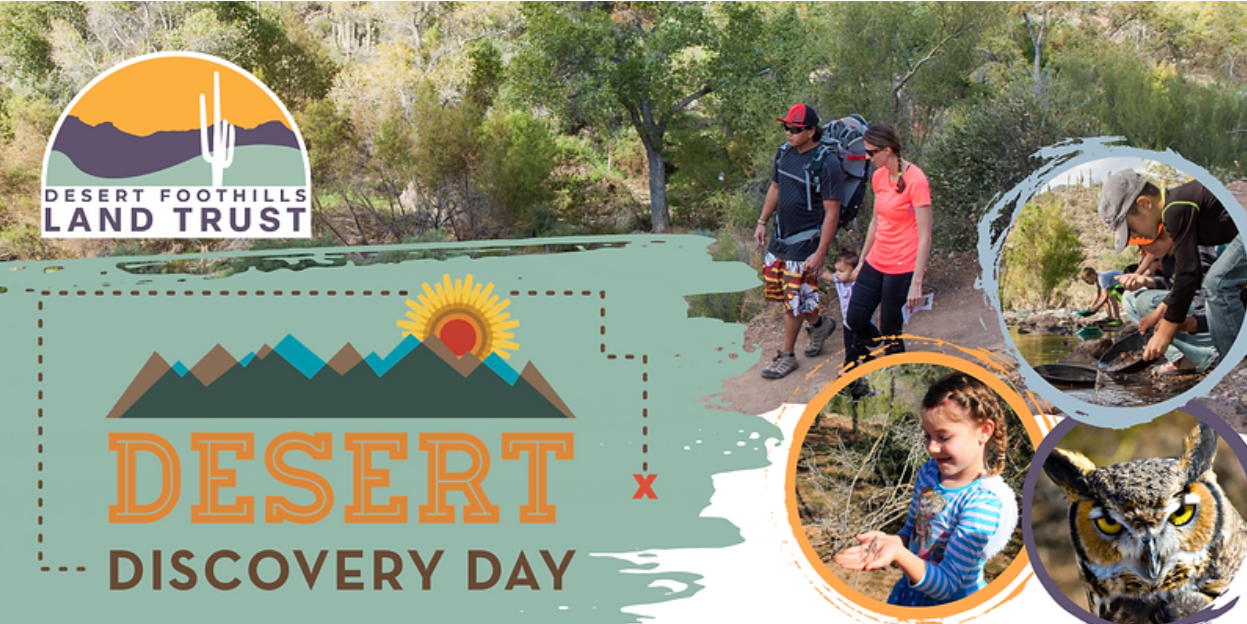 Desert Discovery Day