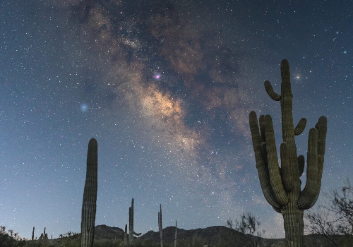 Foothills Speaker Series: Starry Desert Nights