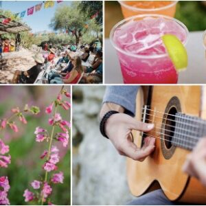 Sundays in the Garden - Fall Concert Series