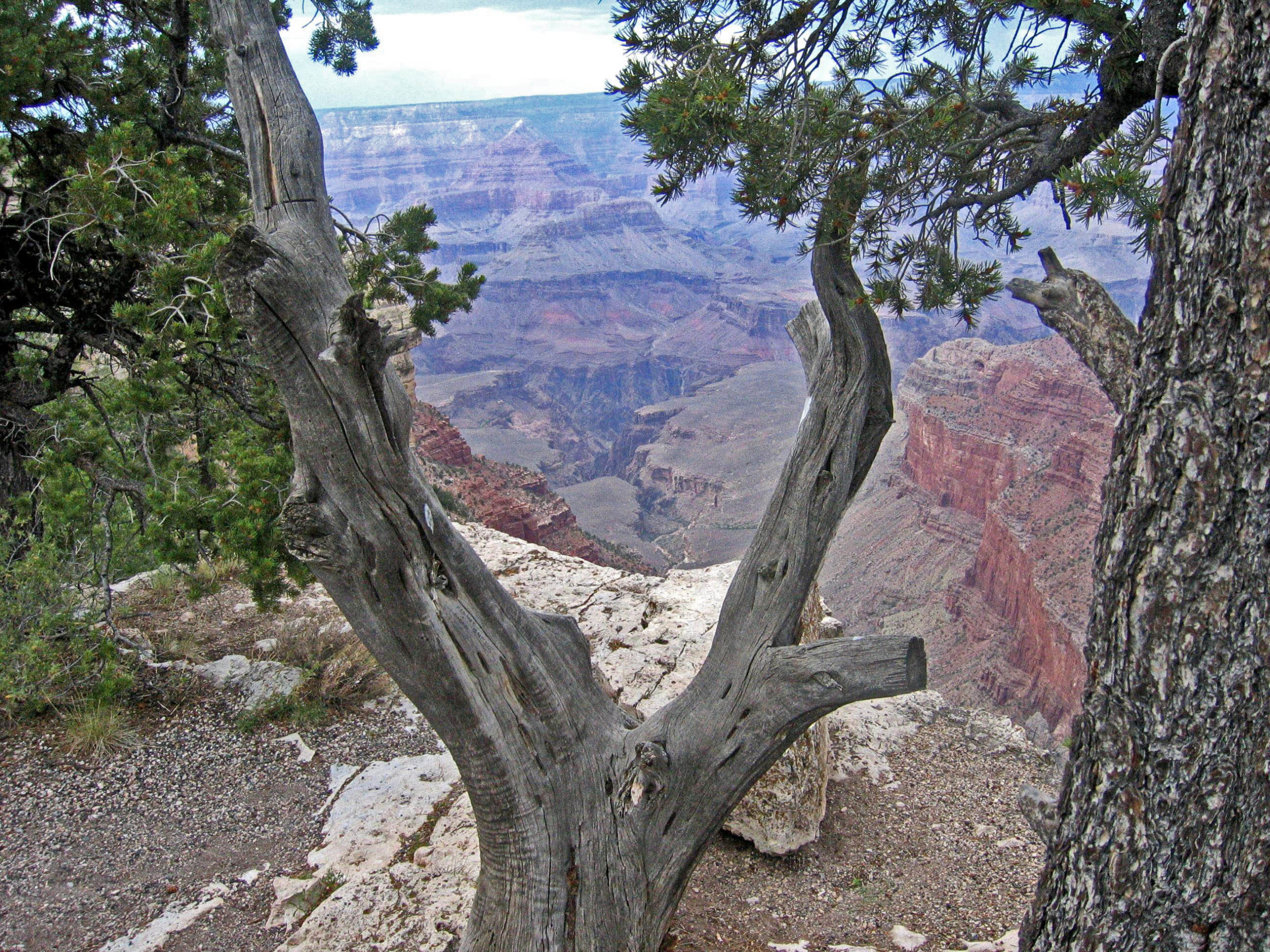 GrandCanyon