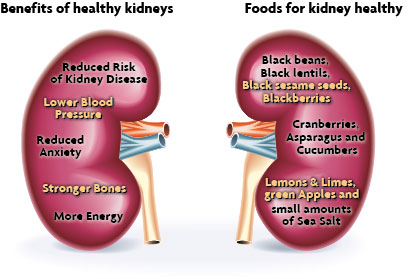 Take Care of Kidneys: For Improved Health and Vitality