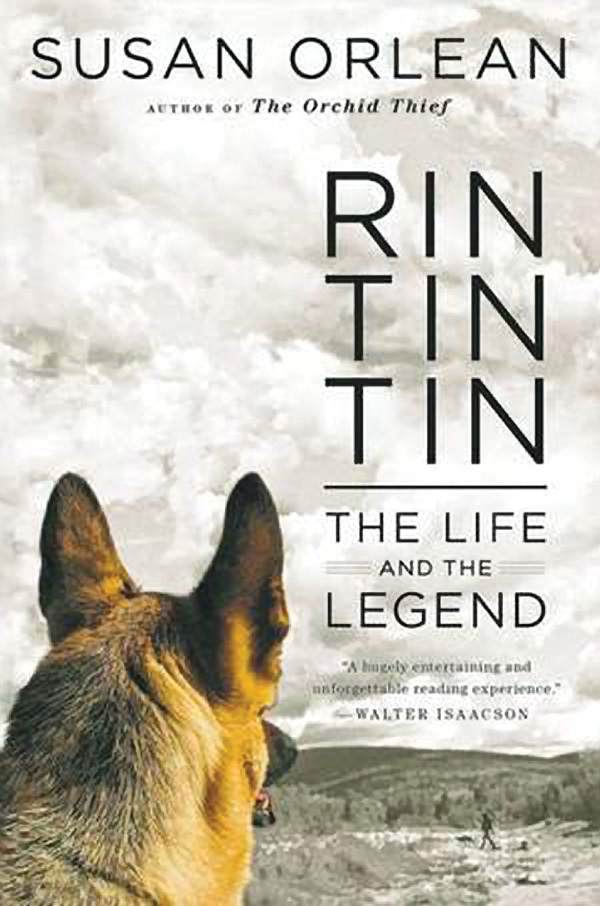 rintintin